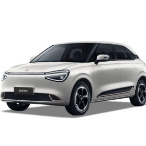 Dongfeng Box